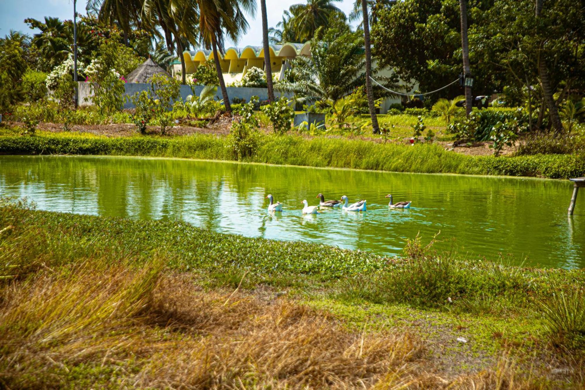Hotel Sarakawa Lomé Buitenkant foto